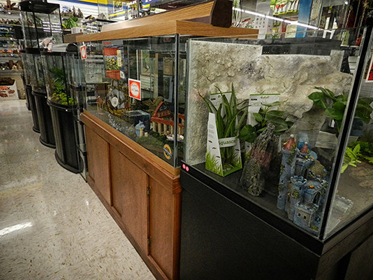 The Pet Emporium