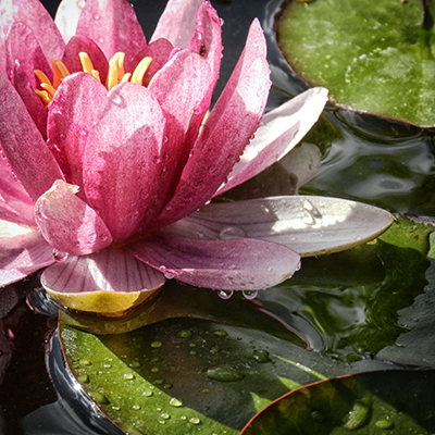 web photos 064