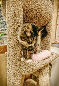 web photos 108