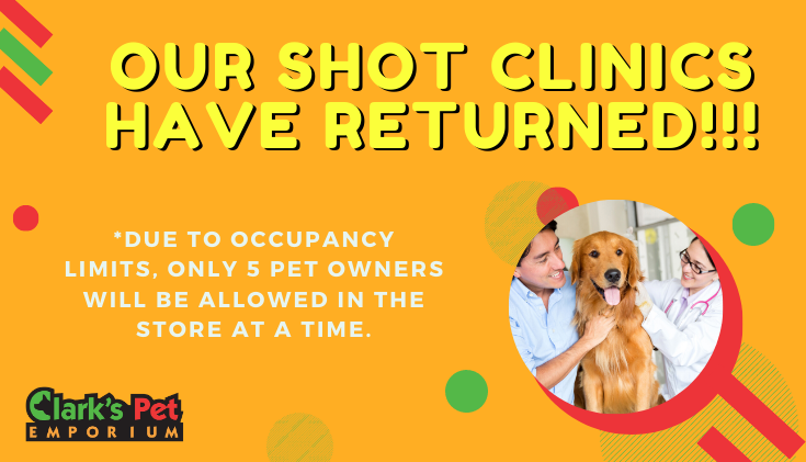 47 Best Images Pet Shot Clinics Near Me / Low Cost Vaccination And
