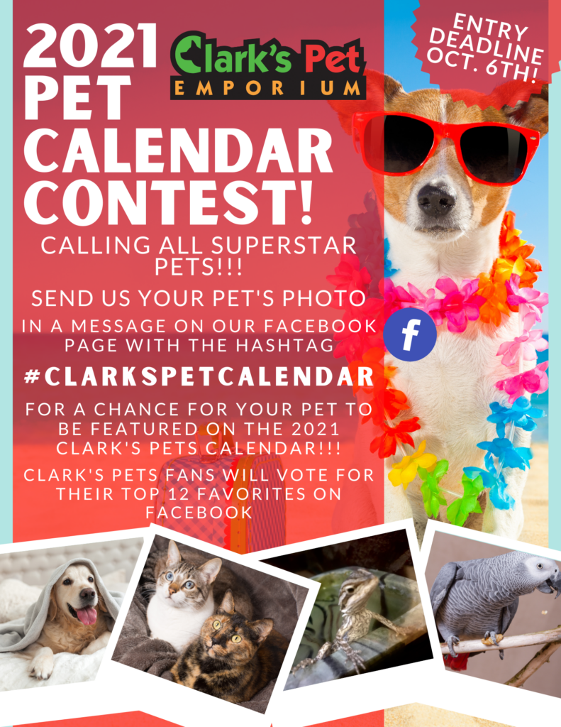 2021-clark-s-pet-calendar-contest-enter-your-pets-photo-now