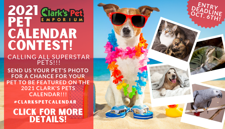 2021 Clark's Pet Calendar Contest 