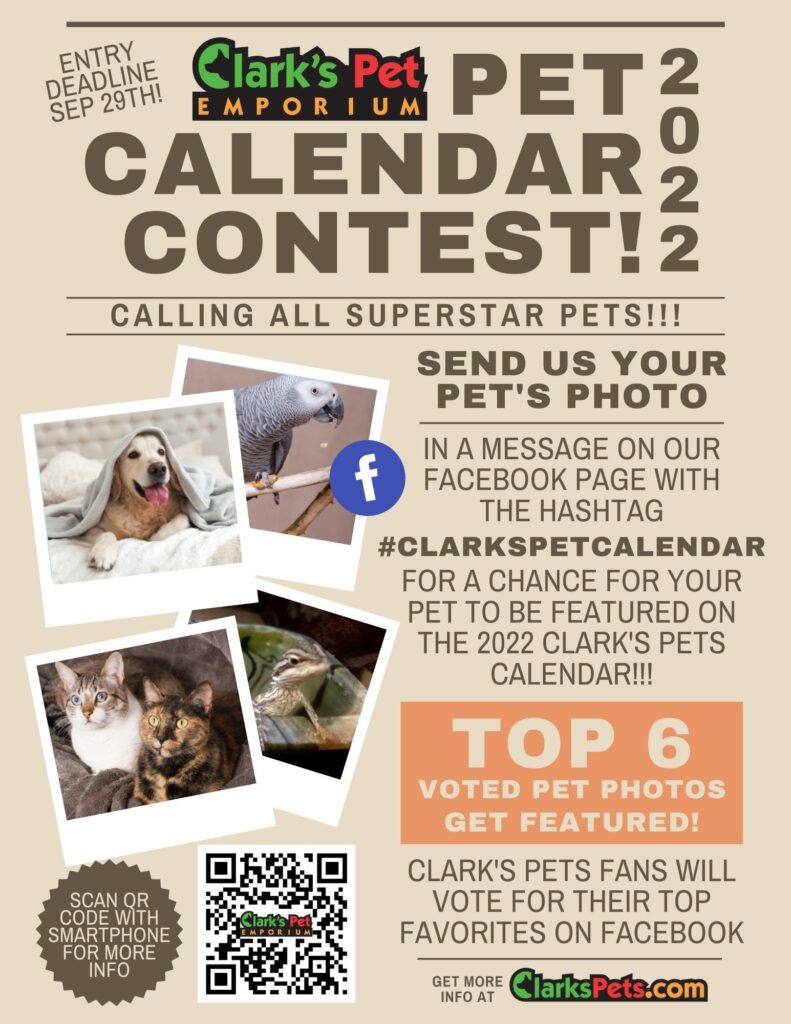 clarks pets pet calendar contest 2022