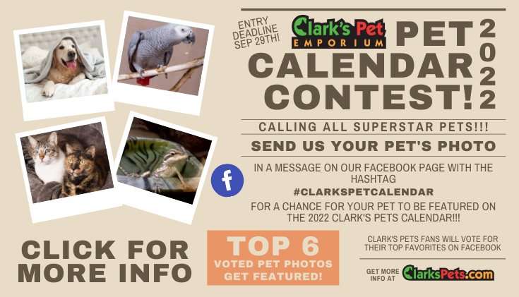 clarks pets pet calendar contest 2022 website carousel