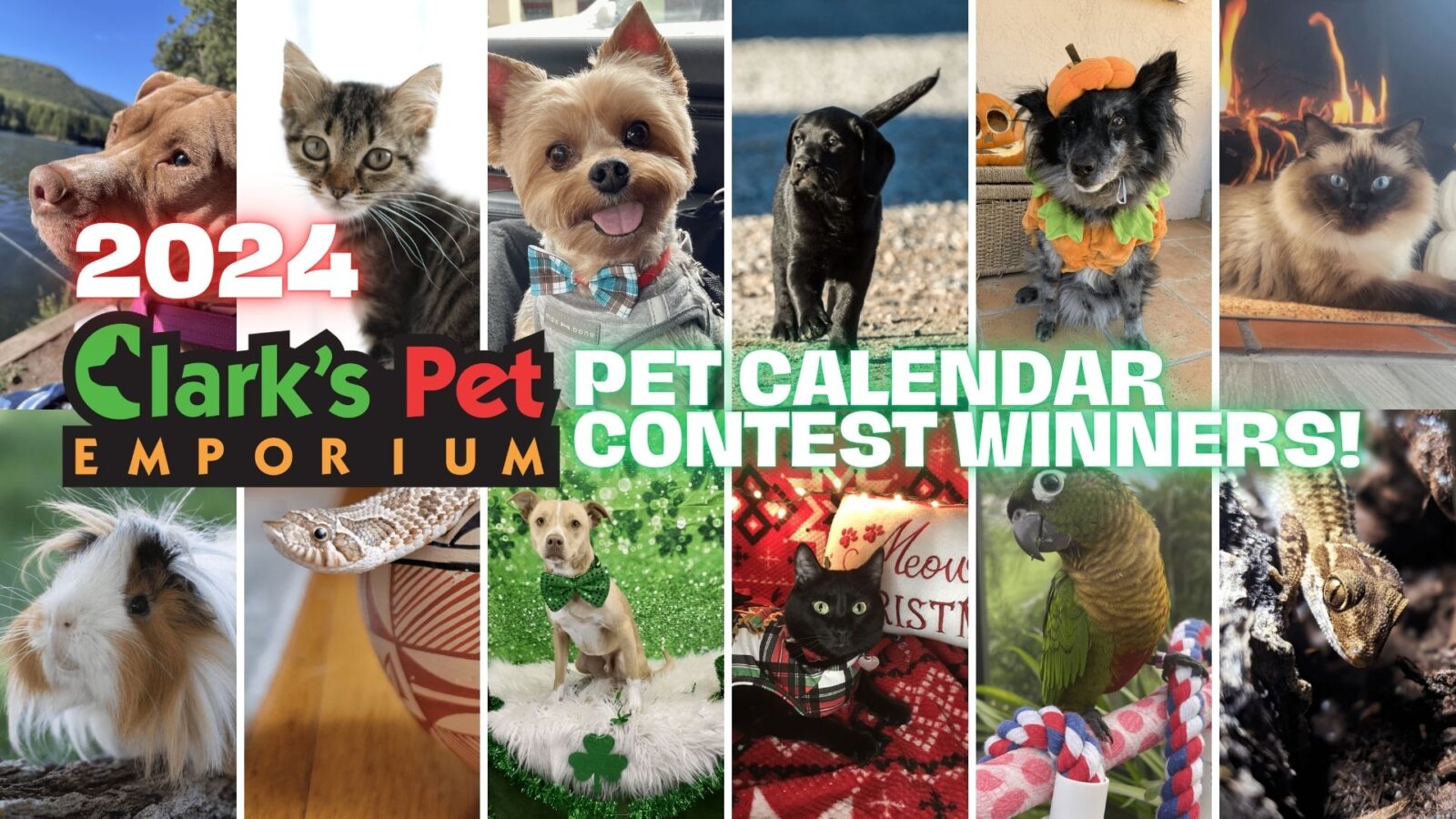 Congrats to our 2024 Pet Calendar Contest Winners!